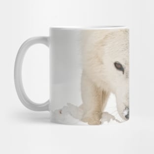 Arctic Wolf Mug